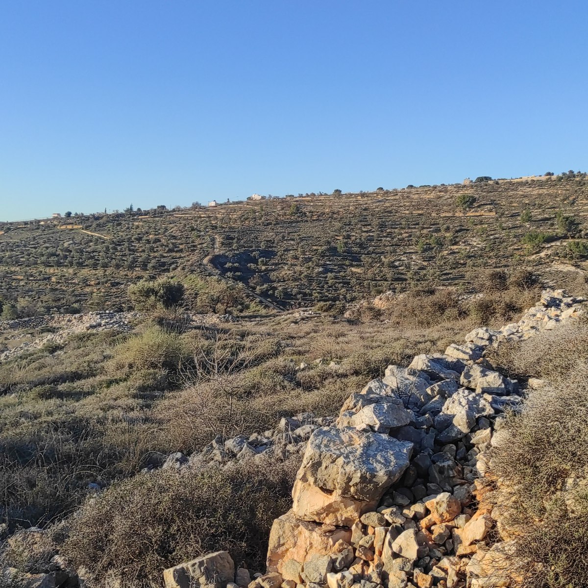 ריצת שטח דרך ההסטוריה בשטחי הספר של דרום ירושלים
